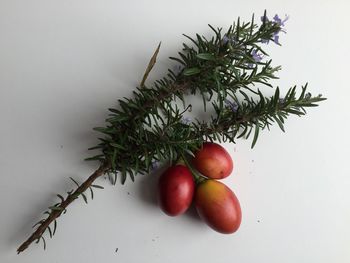 Directly above view of rosemary and fruits on table