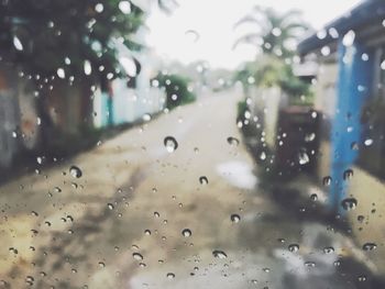 Close-up of wet car window