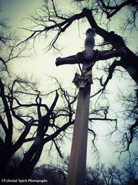 Low angle view of bare tree against sky