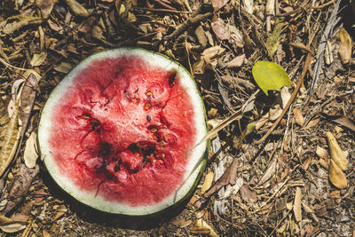 High angle view of fruits