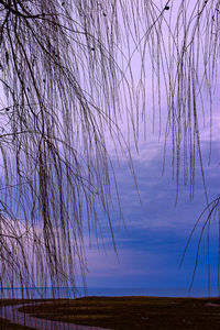 Scenic view of sea against sky at dusk