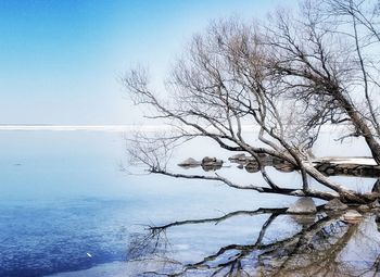 Bare tree by sea against sky during winter