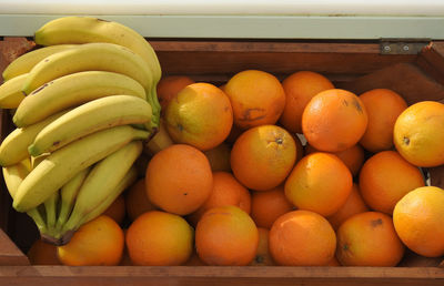 Fruits in container