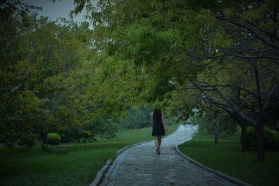 Man standing amidst trees