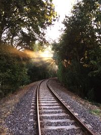 Railroad track in forest