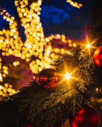 Close-up of illuminated christmas tree at night