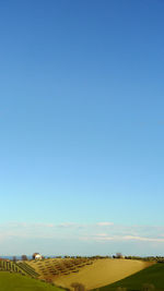 Scenic view of field against clear blue sky