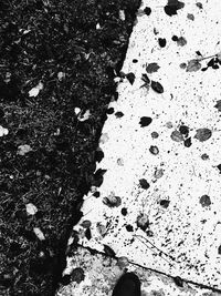 Full frame shot of white background