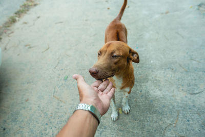 Man holding dog