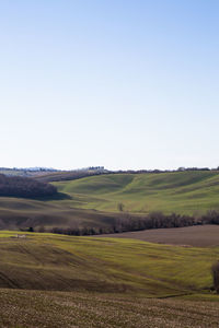 Scenic view of farm against clear sky