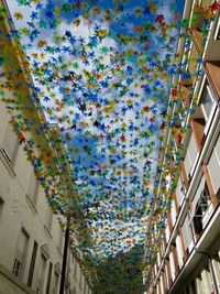 Low angle view of multi colored flowers hanging on building