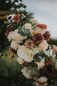 Close-up of rose bouquet