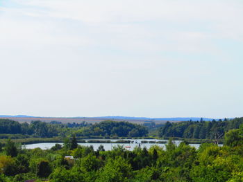 Trees on field against sky