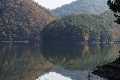 Scenic view of lake by trees against sky