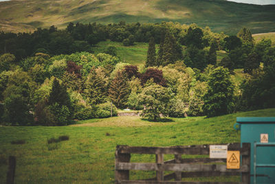 Scenic view of trees on field