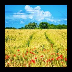 Scenic view of field against cloudy sky