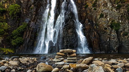 Scenic view of waterfall in forest