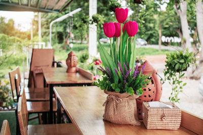 Potted plant on table