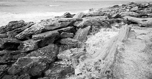 High angle view of rocks on beach