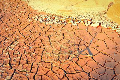 Full frame shot of cracked land