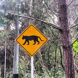 Close-up of road sign