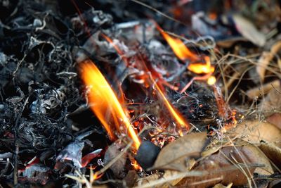 Close-up of bonfire on field