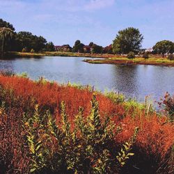 Scenic view of lake against sky