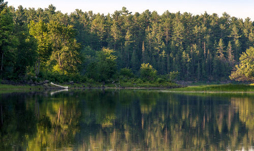 Scenic view of trees reflection in lake