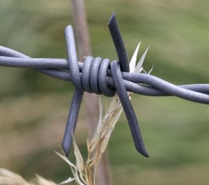 Close-up of barbed wire fence