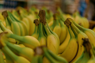 Low angle view of bananas in grocery store.