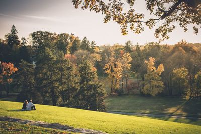 Scenic view of yellow flower trees against sky