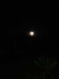 Low angle view of tree against sky at night