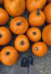 High angle view of pumpkins on floor