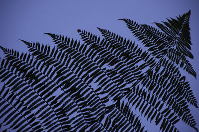 Low angle view of silhouette palm tree against clear blue sky