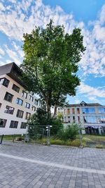 Trees and plants growing by building against sky