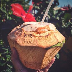 Close-up of hand holding ice cream