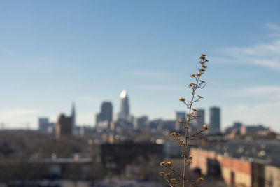 Close-up of cityscape against sky