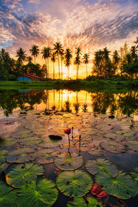 Scenic view of lake against sky during sunset