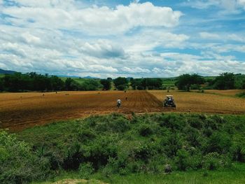 Scenic view of agricultural field against sky