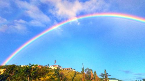 Low angle view of rainbow against sky