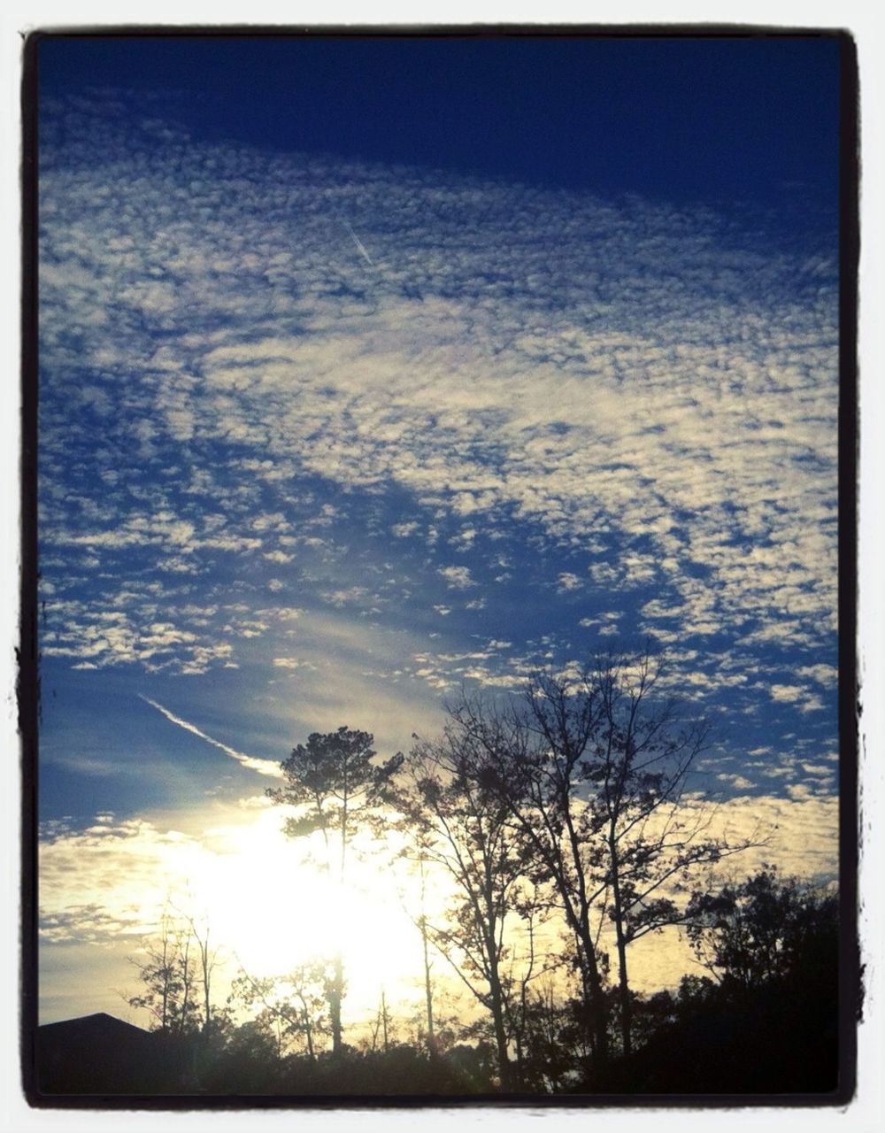 transfer print, tree, silhouette, sunset, sun, tranquility, sky, beauty in nature, scenics, tranquil scene, auto post production filter, nature, sunlight, low angle view, bare tree, sunbeam, branch, idyllic, cloud - sky, growth