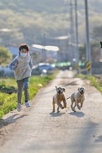 A boy running with his dogs.