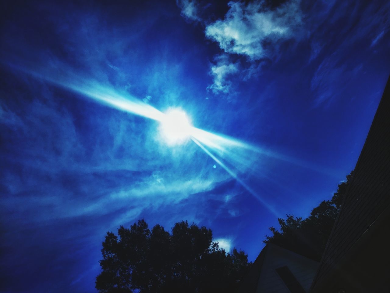 LOW ANGLE VIEW OF SUNLIGHT STREAMING THROUGH TREES