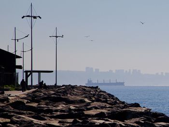 Bird flying over sea and buildings against sky