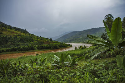 Scenic view of landscape and mountains against sky