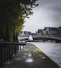 View of bridge over river in city