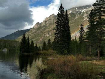 Scenic view of lake by trees against sky