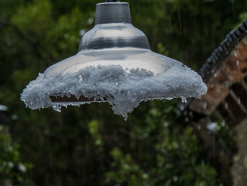 Close-up of icicles against trees