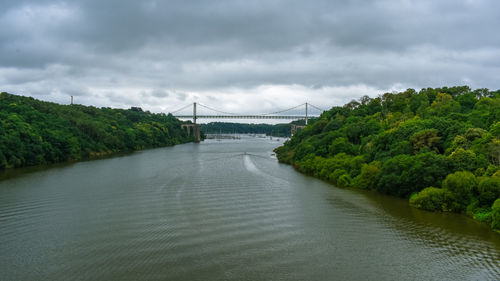 Cable-stayed bridge in a green natural forest, with a dramatic cloudy sky