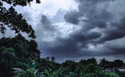 Low angle view of trees against cloudy sky